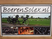 Dakrenovatie Boerensolex te Herpen